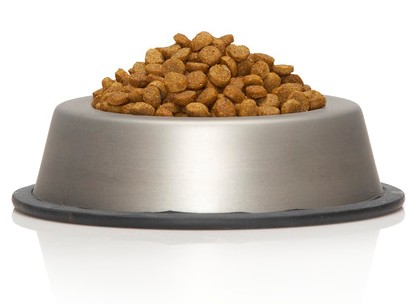 Dog bowl with dry food