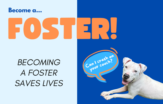 Become a Foster .. Becoming a Foster Saves Lives